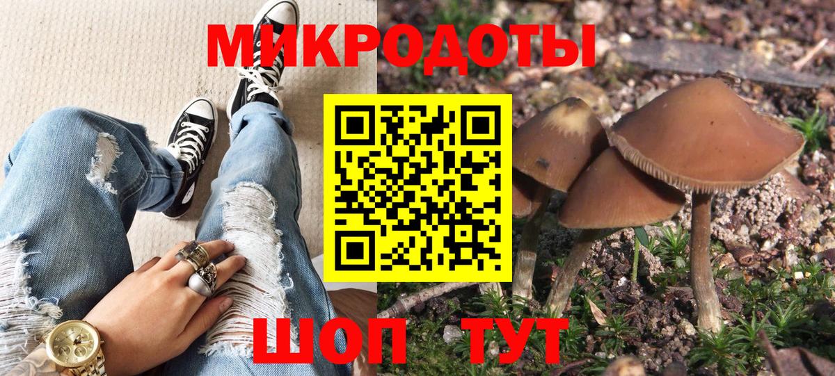 Псилоцибиновые грибы Psilocybe  Вход с VPN  Зеленодольск 