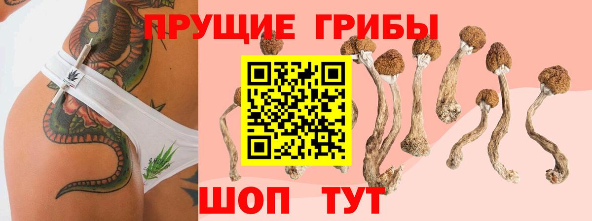 Галлюциногенные грибы ЛСД Зеленодольск